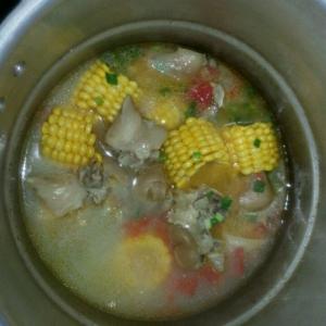 玉米猪蹄汤的做法 玉米猪蹄汤要怎么做_玉米猪蹄汤的好吃做法