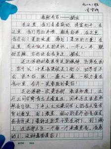 元旦作文300字 小学生元旦随想300字作文