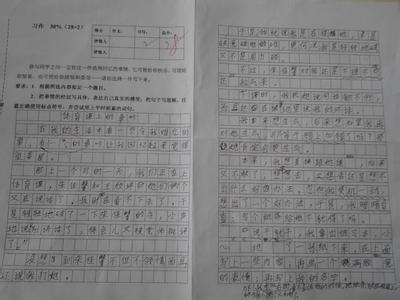 小学生作文春节见闻 2014小学生春节见闻作文400字