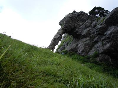 黄牛石自然保护区 河源黄牛石自然保护区