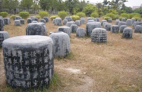 揭阳桑浦山梨花 揭阳桑浦山