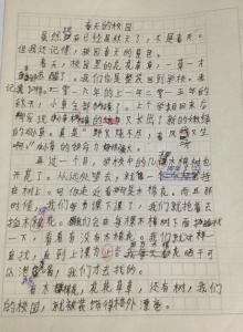 春游作文400字四年级 四年级作文关于春游的作文