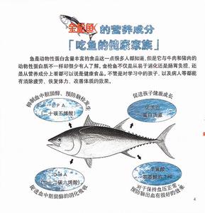 金枪鱼的营养价值 金枪鱼的做法和营养价值