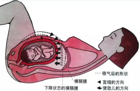 分娩呼吸和用力的方法 分娩时三种错误的用力方式