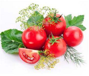 西红柿的各种做法 西红柿的10种做法