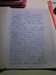 爸爸妈妈的爱作文 爸爸妈妈的爱作文【优秀作文】三篇