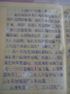 文明只差一步作文300 文明只差一步300字作文