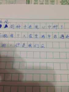 证婚词八篇 初一作文：关于命运500字 八篇