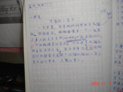 证婚词八篇 三年级作文：我家的小兔子 八篇