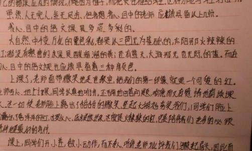 老师的爱作文300字 我爱我的老师作文300字