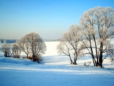 冬天的景色描写二年级 二年级作文冬天景色  八篇
