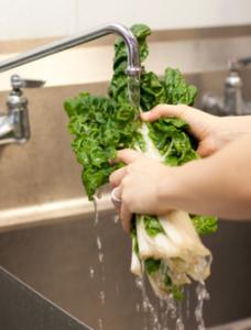 蔬菜农药残留的危害 怎样洗菜可以降低农药危害