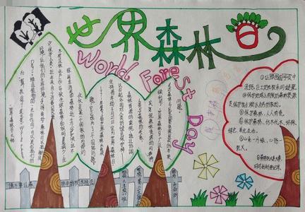 保护森林英文作文开头 小学生保护森林作文