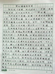 踏青作文600字 高中生踏青作文600字