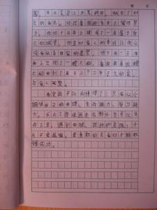 暑假作文600字大全 有趣的暑假作文600字大全