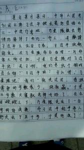 2013高三作文900字：人间何处不开花