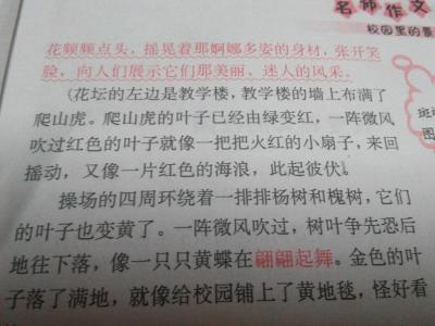 你是我金秋的感动作文 金秋的校园作文