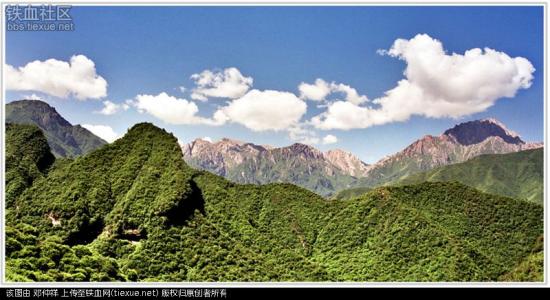 高高的太子山马红莲 高高的太子山