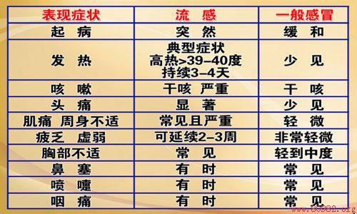 禽流感最新消息2017 禽流感症状与感冒区别