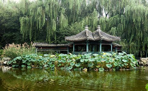 北京宣武艺园丁香书院 北京宣武艺园