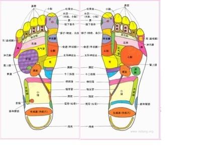 按摩5个穴位防治百病 按摩5穴位=补药