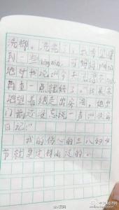 我帮妈妈做家务 小学生作文我帮妈妈做家务(2)