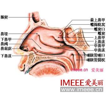 不感冒鼻塞是什么情况 总是鼻塞是什么原因