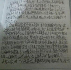 小学生学雷峰作文：热爱集体小雷锋