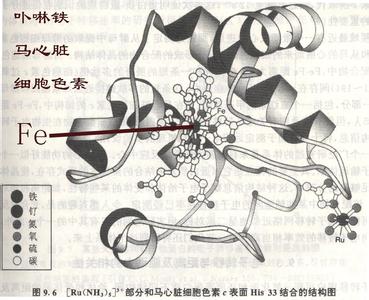 孕前检查微量元素 孕前不可缺少的四种微量元素