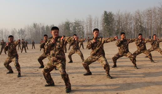 武警擒敌拳16动视频 武警擒敌拳的简介