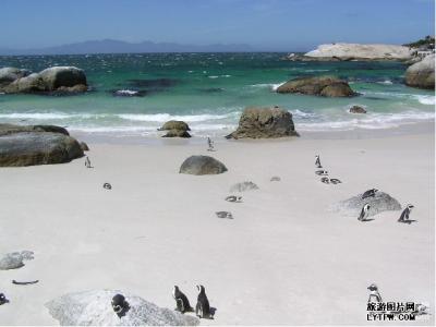 南非旅游注意事项三月 南非旅游注意事项