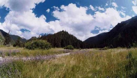 贺兰山国家狩猎场 内蒙古贺兰山国家狩猎场