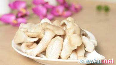蘑菇的营养价值 营养全能王 蘑菇的4大好处
