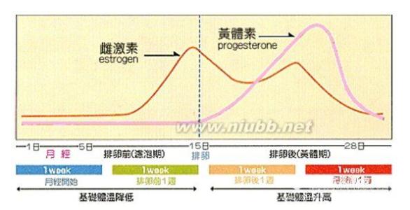 女性生理周期激素变化 根据生理周期变化的定制保养