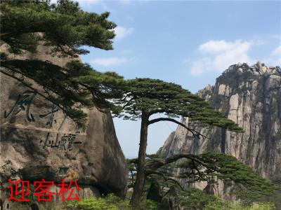 油画棒风景画 哪里是最棒的风景，不必要一定去