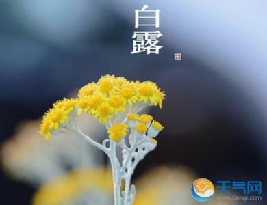 二十四节气的由来 白露节气的由来