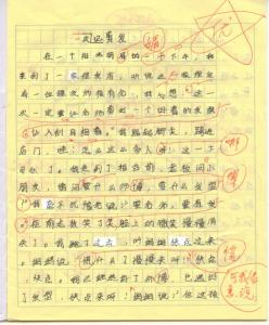 300百字作文 写家务活 记一次家务活300字(2)