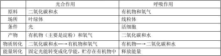 峡谷阿城阅读答案 峡谷阅读答案