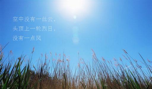 描写夏天热的句子大全 描写夏天热的句子