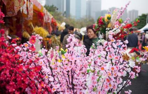 广州春节活动 2015年广州春节活动有哪些