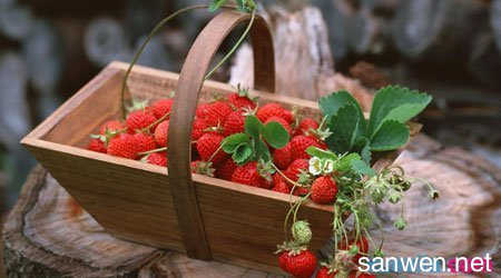 胃口不佳艾灸什么穴位 饭前吃草莓可以缓解胃口不佳