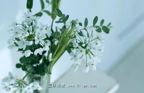 镜月水花 你是我的水花镜月