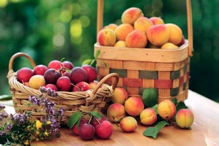 补充维生素吃什么水果 水果对症吃你需要补充哪种