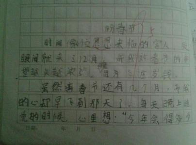 压岁钱作文100字 压岁钱作文