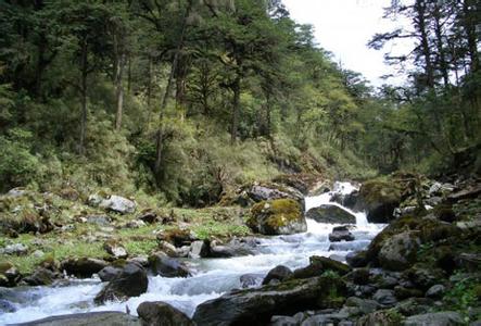 武夷山国家自然保护区 昌江斧头山自然保护区