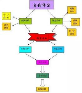 职业生涯规划评估反馈 职业规划评估与反馈调整