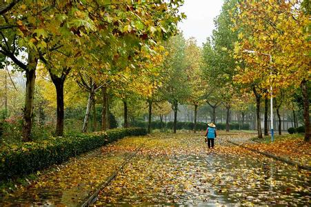 一场秋雨一场寒下一句 为什么一场秋雨一场寒？