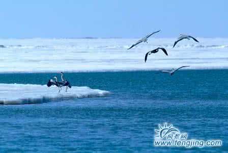 鸡西兴凯湖机场 鸡西兴凯湖百鸟乐园