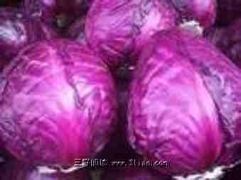 富含花青素的食物 紫色食物富含花青素可防癌抗癌