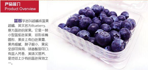 蓝莓的营养价值与禁忌 蓝莓营养与做法